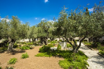 le Jardin de Getsémani